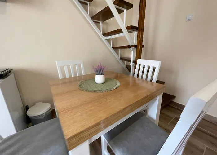 Duplex Oasis アパート